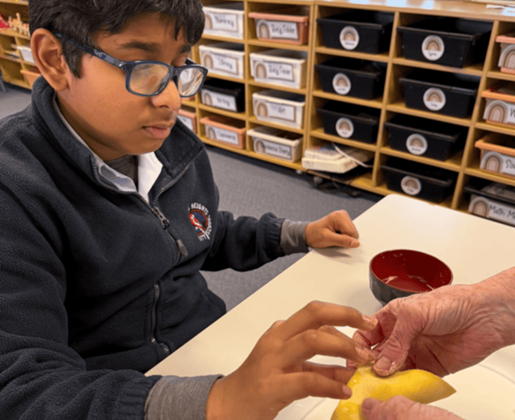 Copy of Document Author Image Block Sizes - P11- Gallery Block 4:3 AR 736px x 600px