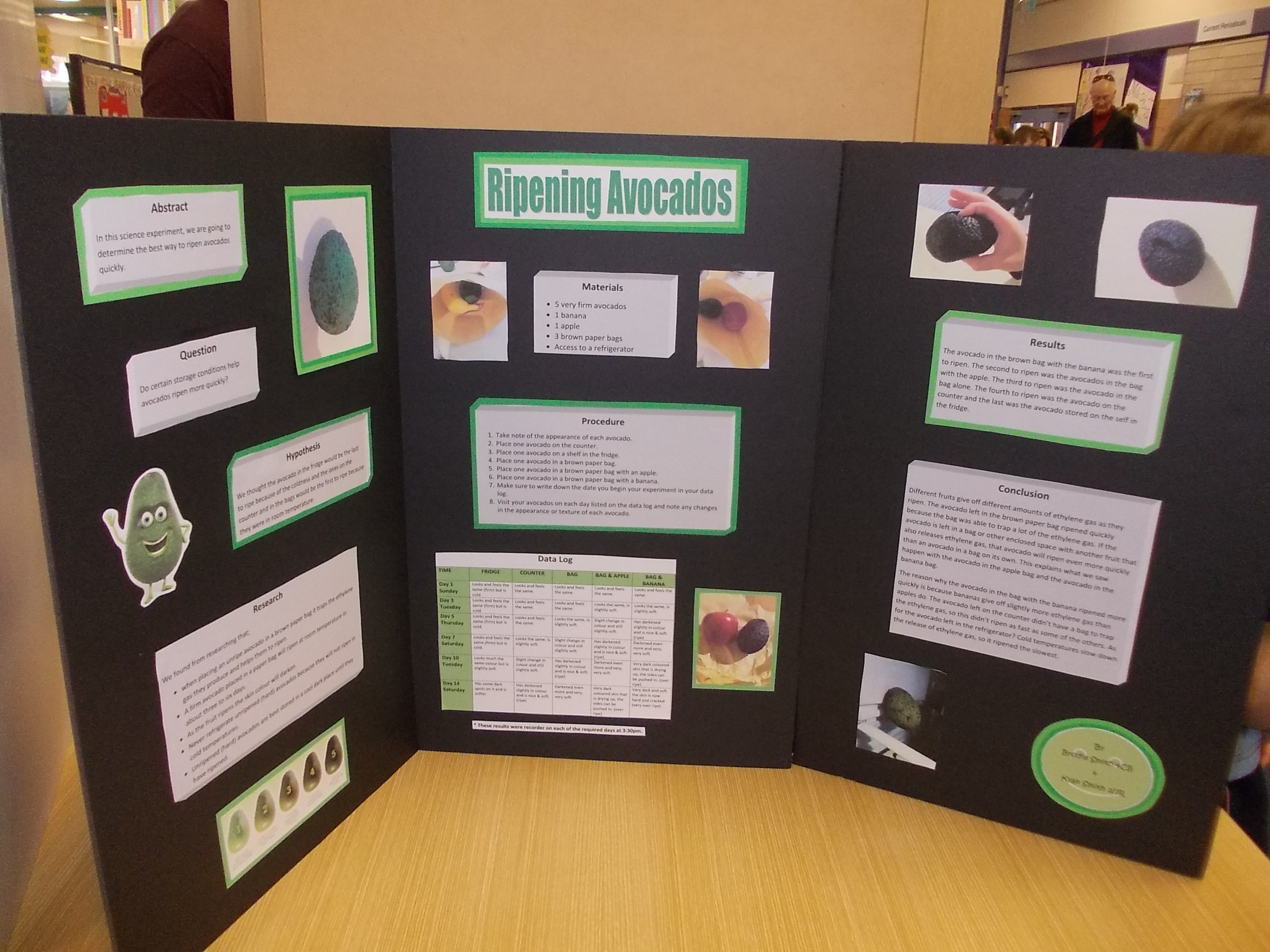 Science Fair