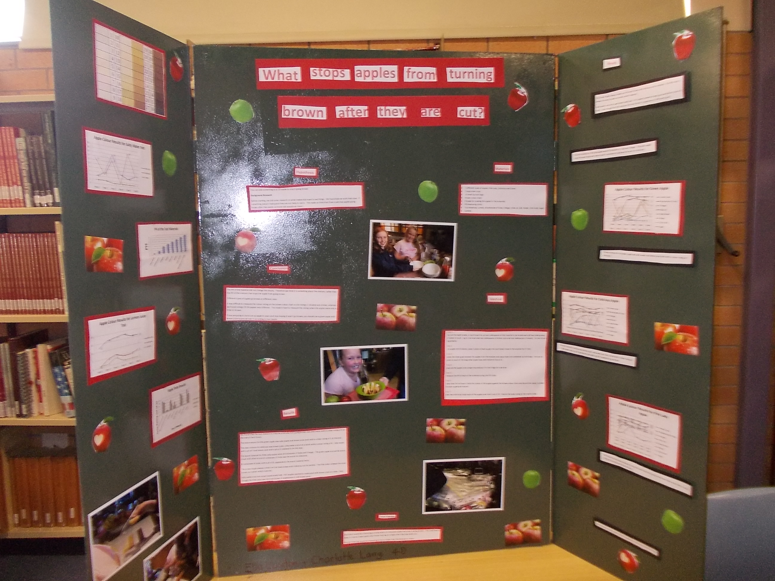 Science Fair 2015 - Lucas Heights Community School